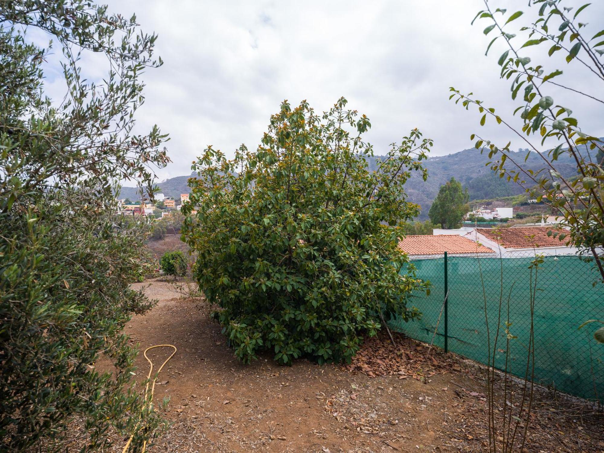 דירות טרור Samar Retreat מראה חיצוני תמונה